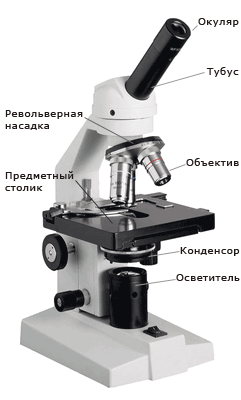 Конструкция микроскопа