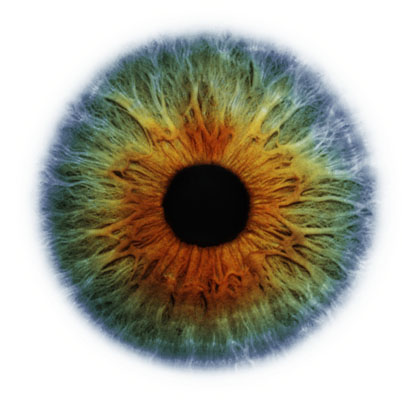 Человеческий глаз под микроскопом