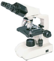   BP-52